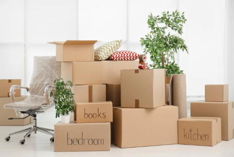 What to Expect from Experienced Removalists Bankstown During a Smooth House Move